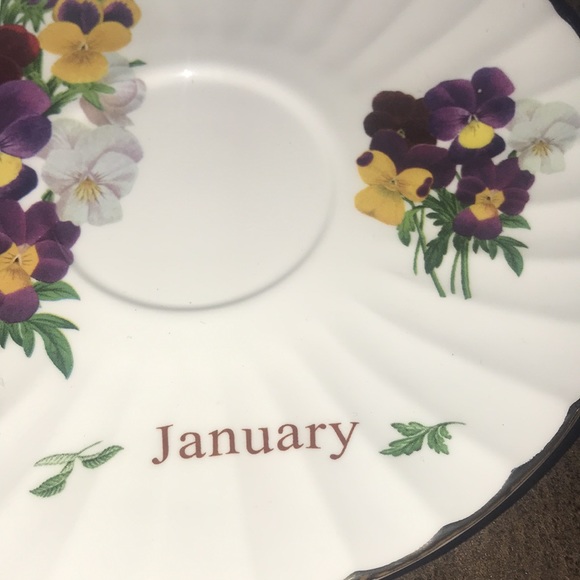 Vintage Royal Patrician Fine Bone China teacup and saucer 3 pieces - Picture 7 of 11